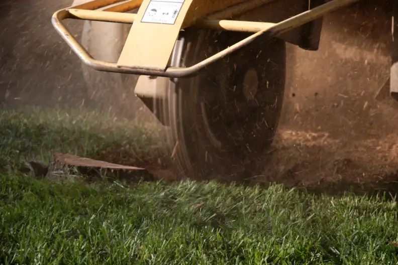 Expert Stump Grinding Services Lenexa, KS