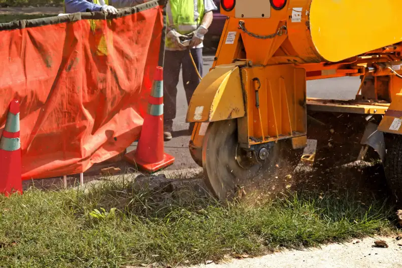 Reliable Stump Grinding Services, Lenexa, KS