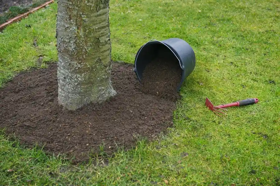 Reliable Tree Company in Lenexa, KS